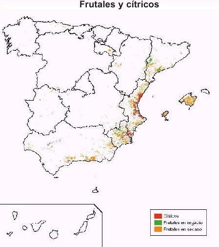 reas productoras de frutales y ctricos en Espaa