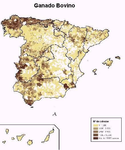 reas productoras de ganado bovino en Espaa