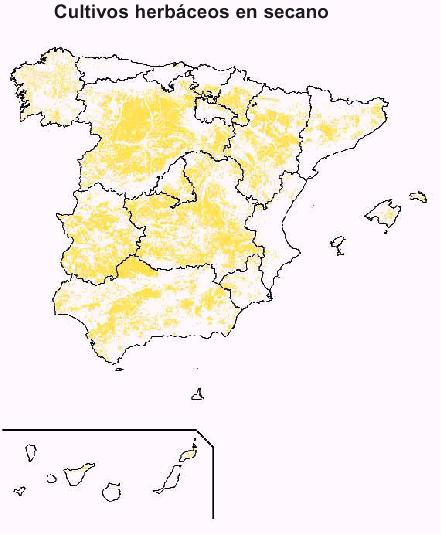 reas productoras de cereales de secano en Espaa