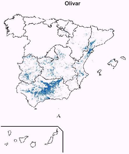 reas productoras de olivar en Espaa