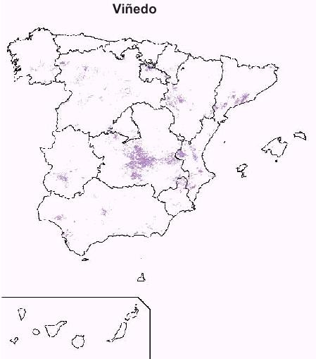 reas productora de viedos en Espaa