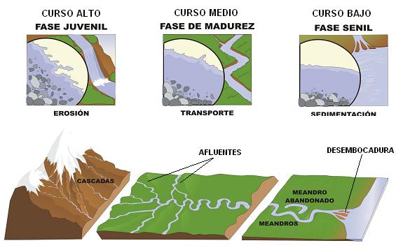 Fases de un ro